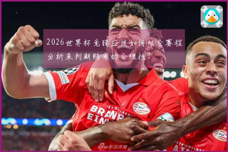 2026世界杯竞猜应该如何结合赛程分析来判断赔率的合理性？