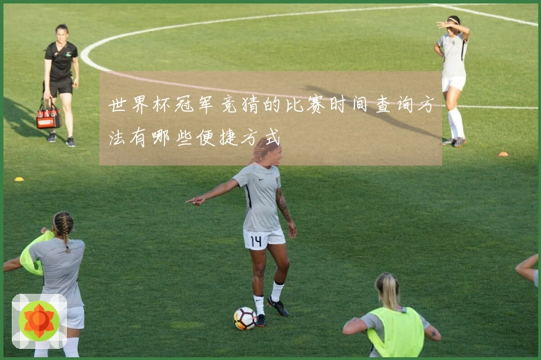 世界杯冠军竞猜的比赛时间查询方法有哪些便捷方式