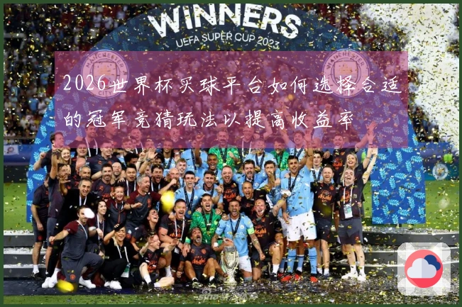 2026世界杯买球平台如何选择合适的冠军竞猜玩法以提高收益率