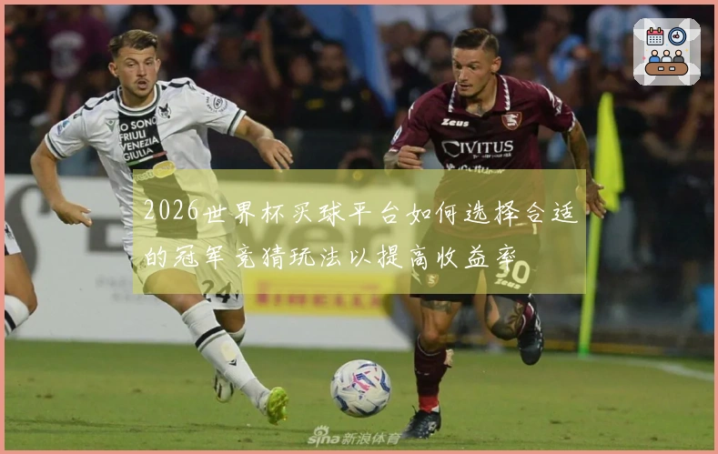 2026世界杯买球平台如何选择合适的冠军竞猜玩法以提高收益率