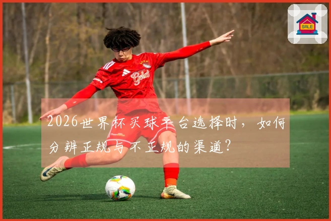 2026世界杯买球平台选择时，如何分辨正规与不正规的渠道？
